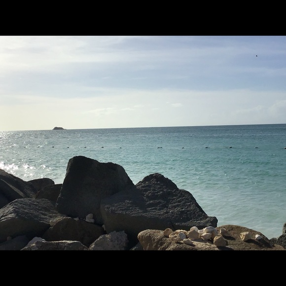 Meet your Posher, Chae - Picture 1 of 1